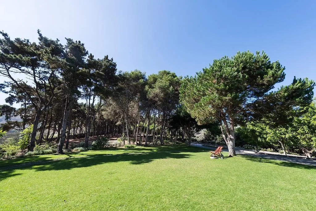 Los Pinos Villa Firgas